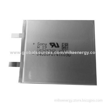 Li-polymer Battery with 940mAh Capacity and 3.7V Nominal Voltage